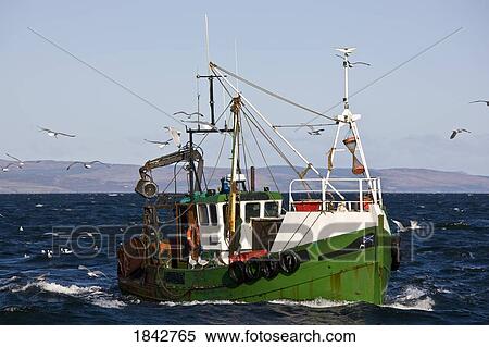 Stock Photography - Fishing Boat And Gulls. Fotosearch