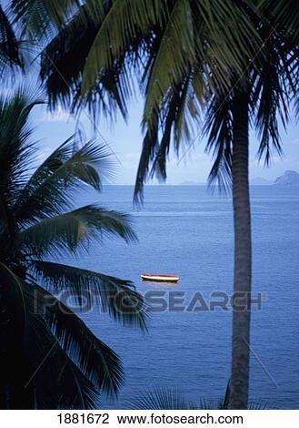 Fishing Boat In Sea As Seen Through Palm Trees View Large Photo Image Stock Image - Fishing Boat In Sea As Seen Through Palm Trees. Fotosearch