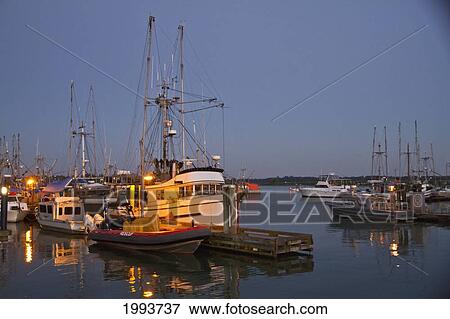 Fishing Boat In The South Arm Of The Fraser River By The Historic Fishing Village Of Steveston At Dusk, Richmond, British Columbia, Canada View Large Photo Image Stock Photo - Fishing Boat In The South Arm Of The Fraser River By The Historic Fishing Village Of Steveston At Dusk, Richmond, British Columbia, Canada. Fotosearch