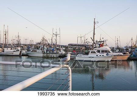 Stock Photography - Fishing Boat In The South Arm Of The Fraser River By The Historic Fishing Village Of Steveston At Dusk, Richmond, British Columbia, Canada. Fotosearch