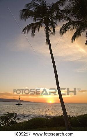 Fishing Boat On Sea At Sunset; Wailea, Maui, Hawaii, Usa View Large Photo Image Stock Photo - Fishing Boat On Sea At Sunset; Wailea, Maui, Hawaii, Usa. Fotosearch