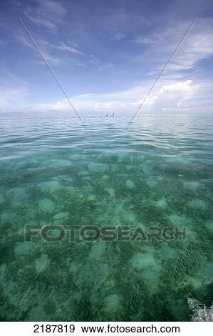 Stock Photo - Fishing Boat On The Indian Ocean Mauritius. Fotosearch