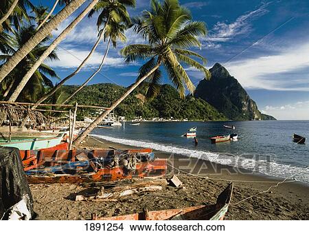 Fishing Boats Beneath Palm Trees On Beach, With Petit Piton In Background View Large Photo Image Picture - Fishing Boats Beneath Palm Trees On Beach, With Petit Piton In Background. Fotosearch