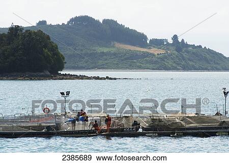 Stock Photo - Fishing boats in the harbour; Puerto Monte, Llanquihue, Chile. Fotosearch