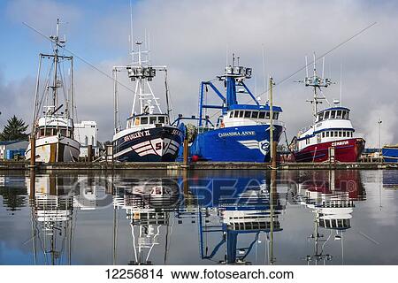 Fishing boats moored at the dock; Warrenton, Oregon, United States of America View Large Photo Image Picture - Fishing boats moored at the dock; Warrenton, Oregon, United States of America. Fotosearch