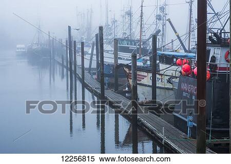 Fishing boats moored at the dock; Warrenton, Oregon, United States of America View Large Photo Image Stock Photography - Fishing boats moored at the dock; Warrenton, Oregon, United States of America. Fotosearch