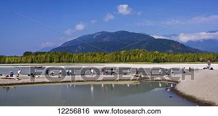 Stock Photograph - Fishing for sockeye salmon on the Peg Leg Bar; Chilliwack, British Columbia, Canada. Fotosearch