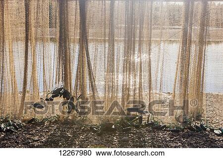 Fishing net hanging to dry along the Kobuk River, Shungnak, Arctic Alaska, Summer View Large Photo Image Stock Image - Fishing net hanging to dry along the Kobuk River, Shungnak, Arctic Alaska, Summer. Fotosearch