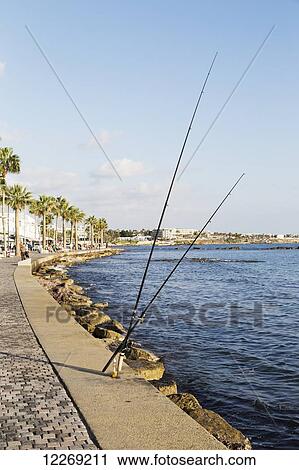 Fishing rods and palm trees along the shoreline; Paphos, Cyprus View Large Photo Image Stock Image - Fishing rods and palm trees along the shoreline; Paphos, Cyprus. Fotosearch