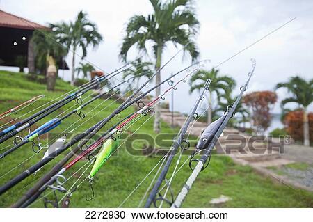 Fishing rods on docked boat; panama View Large Photo Image Stock Image - Fishing rods on docked boat; panama. Fotosearch