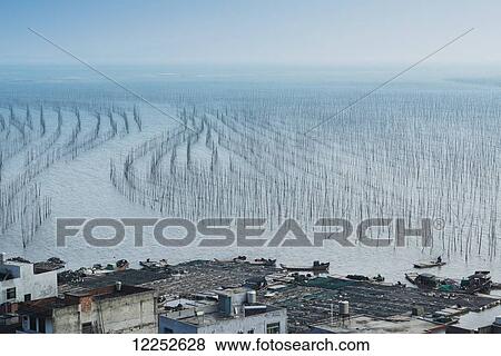 Fishing village and a structure made of posts in the water for hanging fishing nets to dry; Xiapu, Fujian, China View Large Photo Image Stock Photo - Fishing village and a structure made of posts in the water for hanging fishing nets to dry; Xiapu, Fujian, China. Fotosearch