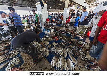 Fishmonger at the Paotere fish market, Makassar (Ujung Pandang), South Sulawesi, Indonesia View Large Photo Image Stock Image - Fishmonger at the Paotere fish market, Makassar (Ujung Pandang), South Sulawesi, Indonesia. Fotosearch