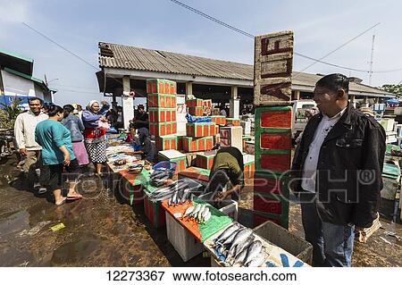 Fishmongers at the Paotere fish market, Makassar (Ujung Pandang), South Sulawesi, Indonesia View Large Photo Image Stock Photo - Fishmongers at the Paotere fish market, Makassar (Ujung Pandang), South Sulawesi, Indonesia. Fotosearch