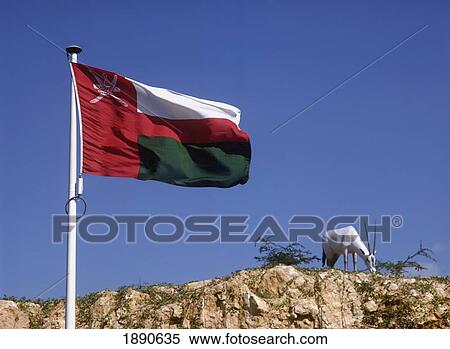 Stock Photography - Flag Of Oman And Goat On Hill. Fotosearch