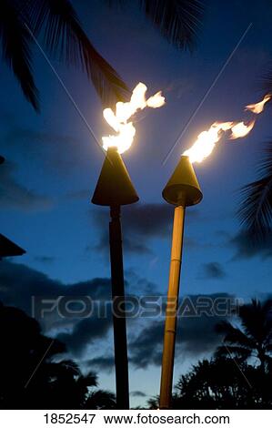 Flaming Torches, Maui, Hawaii, Usa View Large Photo Image Stock Photo - Flaming Torches, Maui, Hawaii, Usa. Fotosearch