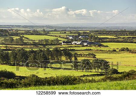 Stock Photo - Flat grassy fields with trees blue sky and clouds, near Kilrush; County Clare, Ireland. Fotosearch