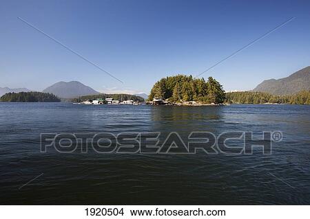 Floating Coastal Village; Tofino, Vancouver Island, British Columbia, Canada View Large Photo Image Picture - Floating Coastal Village; Tofino, Vancouver Island, British Columbia, Canada. Fotosearch