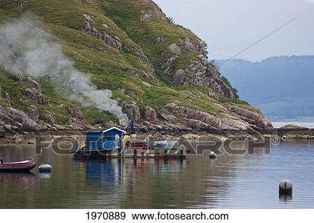 Floating Dock And A Moored Boat At A Fish Farm; Ardnamurchan Argyl Scotland View Large Photo Image Stock Photo - Floating Dock And A Moored Boat At A Fish Farm; Ardnamurchan Argyl Scotland. Fotosearch