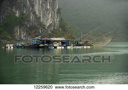 Floating houses and boats, with fishnets extended on poles over water; Halong Bay, Vietnam View Large Photo Image Stock Image - Floating houses and boats, with fishnets extended on poles over water; Halong Bay, Vietnam. Fotosearch