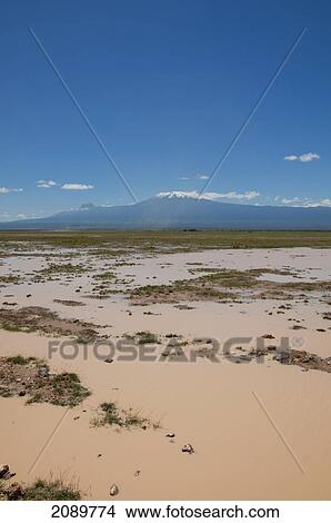 Picture - Flooded Landscape, Mt Kilimanjaro, Amboseli, Kenya. Fotosearch