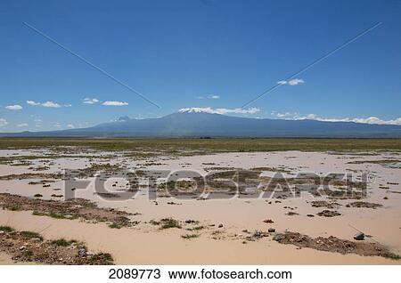 Stock Image - Flooded Landscape, Mt Kilimanjaro, Amboseli, Kenya. Fotosearch