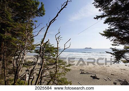 Florencia Bay In Pacific Rim National Park Near Tofino; British Columbia Canada View Large Photo Image Picture - Florencia Bay In Pacific Rim National Park Near Tofino; British Columbia Canada. Fotosearch