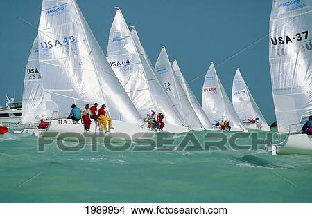 Picture - Florida, Key West Race Week, Racing Sailboats, Clear Blue Sky, Green Ocean Waters. Fotosearch