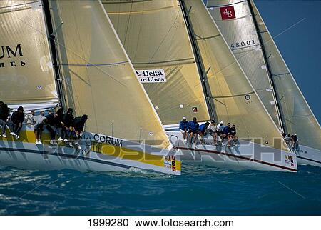 Florida, Key West Yacht Race, Three Yachts Parallel Each Other View Large Photo Image Stock Image - Florida, Key West Yacht Race, Three Yachts Parallel Each Other. Fotosearch