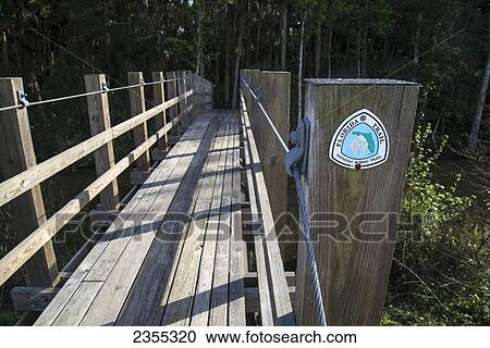 Florida Trail, Tosohatchee Wildlife Management Area; Florida, United States Of America View Large Photo Image Stock Image - Florida Trail, Tosohatchee Wildlife Management Area; Florida, United States Of America. Fotosearch