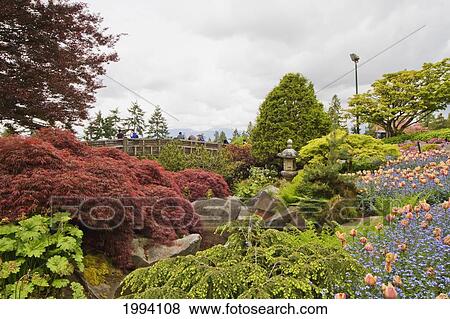Flower Beds In Queen Elizabeth Park, Vancouver, British Columbia, Canada View Large Photo Image Stock Photo - Flower Beds In Queen Elizabeth Park, Vancouver, British Columbia, Canada. Fotosearch