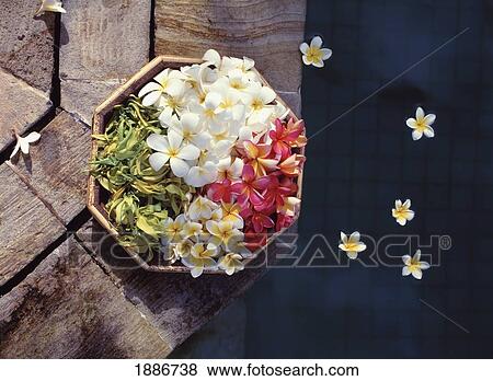 Stock Photo - Flower Blossoms In A Bowl By A Pool, Close Up. Fotosearch