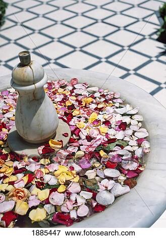 Stock Photo - Flower Blossoms In Fountain On Tiled Floor. Fotosearch