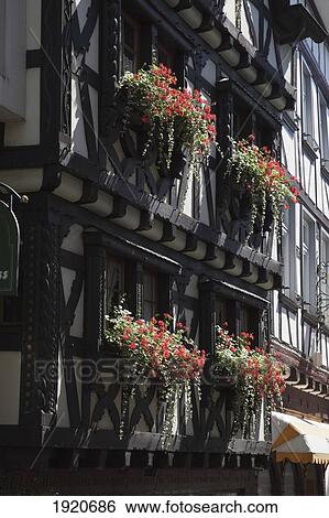 Flower Boxes On Building Exterior; Linz Am Rhein, Rheinland-Pfalz, Germany View Large Photo Image Stock Photograph - Flower Boxes On Building Exterior; Linz Am Rhein, Rheinland-Pfalz, Germany. Fotosearch