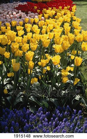 Flower Gardens View Large Photo Image Stock Photo - Flower Gardens. Fotosearch