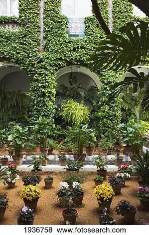 Stock Photo - Flower Pots In An Inner Courtyard; Sevilla Andalucia Spain. Fotosearch