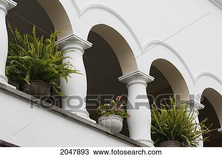 Stock Image - Flower Pots In Palacio De Carondelet (Presidential Palace), Quito, Pichincha, Ecuador. Fotosearch