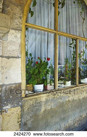 Stock Image - Flower pots lining the inside of an arched residential window, Marais district; Paris, France. Fotosearch