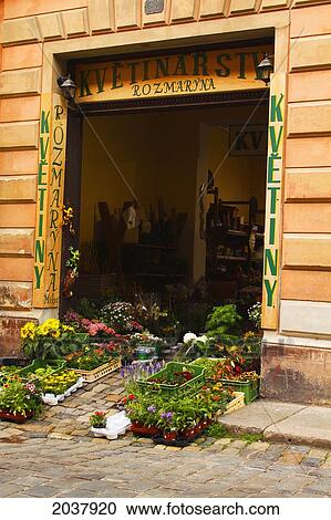 Flower Shop In The Old Town; Chesky Krumlov Jihocesky Czech Republic View Large Photo Image Stock Image - Flower Shop In The Old Town; Chesky Krumlov Jihocesky Czech Republic. Fotosearch