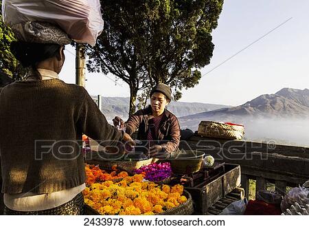 Stock Photo - Flower vendor at the morning market, Kintamani, Bali, Indonesia. Fotosearch