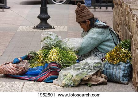 Flower vendor, Cochabamba, Bolivia View Large Photo Image Stock Image - Flower vendor, Cochabamba, Bolivia. Fotosearch