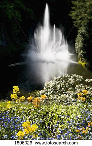 Stock Photograph - Flowers And Grass With A Water Fountain In The Background; Victoria, British Columbia, Canada. Fotosearch