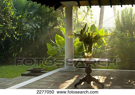 Flowers and plants on verandah of villa early in the morning; Thalpe, Sri Lanka View Large Photo Image Stock Image - Flowers and plants on verandah of villa early in the morning; Thalpe, Sri Lanka. Fotosearch