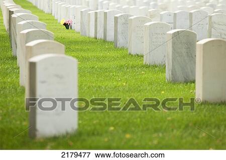 Flowers At A Gravestone In A Cemetery; Minneapolis Minnesota United States Of America View Large Photo Image Stock Photo - Flowers At A Gravestone In A Cemetery; Minneapolis Minnesota United States Of America. Fotosearch