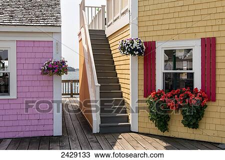 Stock Image - Flowers blossoming and hanging from colourful buildings; Summerside, Prince Edward Island, Canada. Fotosearch
