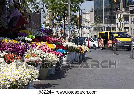 flower shoes taksim