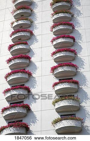 Flowers On Shangri-La Hotel At Mae Nam Chao Phray River; Bangkok, Thailand View Large Photo Image Stock Photograph - Flowers On Shangri-La Hotel At Mae Nam Chao Phray River; Bangkok, Thailand. Fotosearch