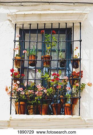 Stock Photo - Flowers Surrounding Window, Andalucia, Spain. Fotosearch