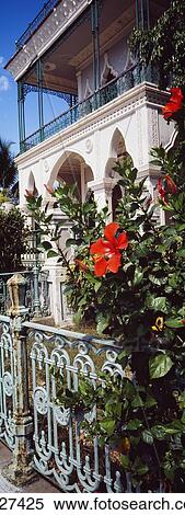 Flowers Under Villa Balcony View Large Photo Image Stock Photography - Flowers Under Villa Balcony. Fotosearch