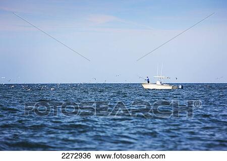 Stock Photograph - Fly fishing off a boat; montauk new york usa. Fotosearch