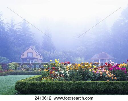 Fog hovers close at Shore Acres Botanical Gardens State Park; Charleston, Oregon, United States of America View Large Photo Image Stock Image - Fog hovers close at Shore Acres Botanical Gardens State Park; Charleston, Oregon, United States of America. Fotosearch